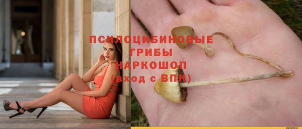 спайс Балабаново
