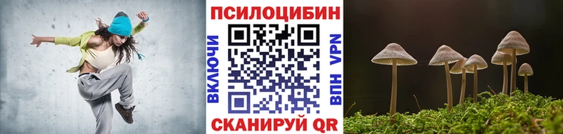 Псилоцибиновые грибы Psilocybe  Окуловка 